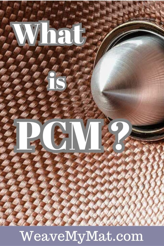 What is PCM audio format? (Shows a speaker, close up)